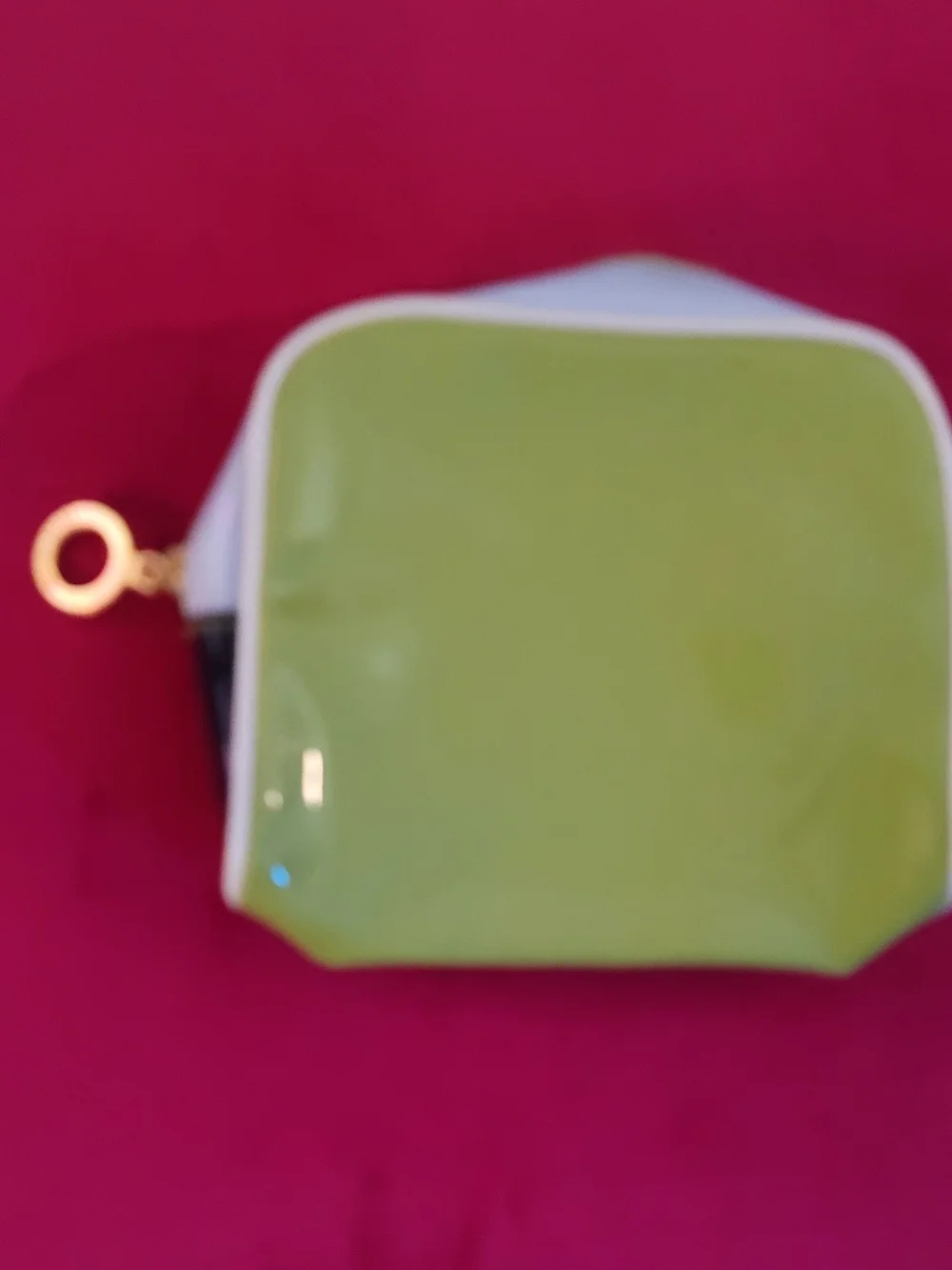 Estee Lauder Cosmetic Case